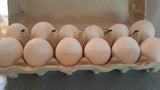 Duck Eggs